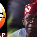 APC Sweeps Rivers By-Elections, Wins Majority Of FCT Councils As PDP Takes Gwagwalada
