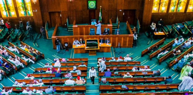 Reps Launch Probe Into Billions Lost From Container Diversion, Customs Duty Leakages