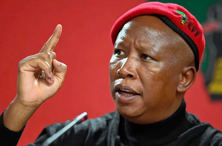 Malema Declares Xenophobia A Betrayal Of African Unity, Calls For One Currency, One Presidency
