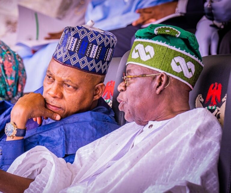 Tinubu Hails Shettima’s Loyalty and Service at 59th Birthday