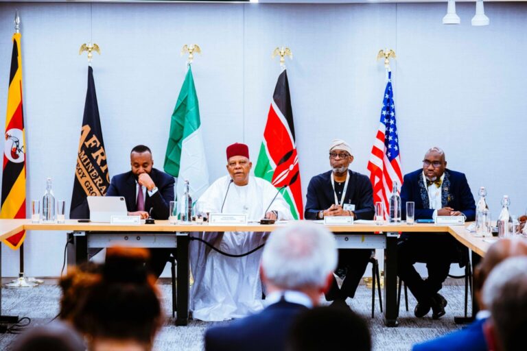 UNGA 80: Tinubu Calls For African Investment In Minerals, Stronger Global Role