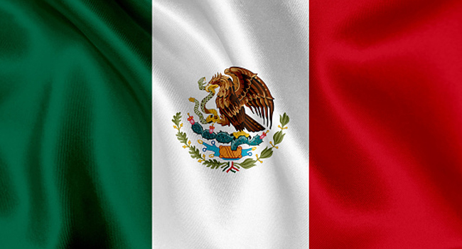 Authorities Unearth 48 Bags Containing Human Remains In Mexico’s Jalisco State