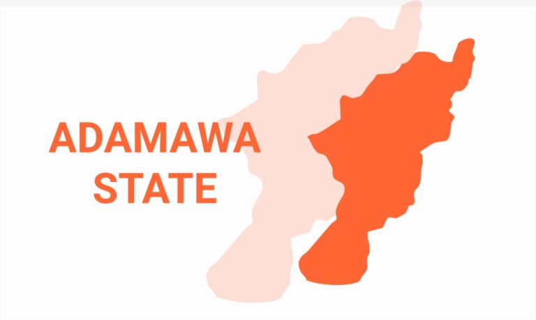 Adamawa Strengthens UN Partnership to Boost Peace and Development