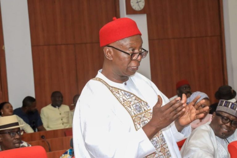 Tinubu, 97 Senators Back Creation of Anioma State, Says Ned Nwoko