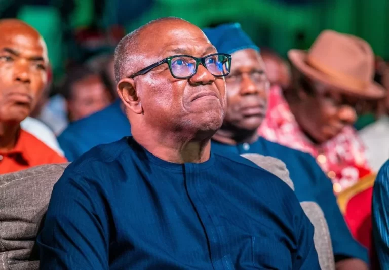Peter Obi Accuses Nigerian Government Of Persecuting Political Opponents