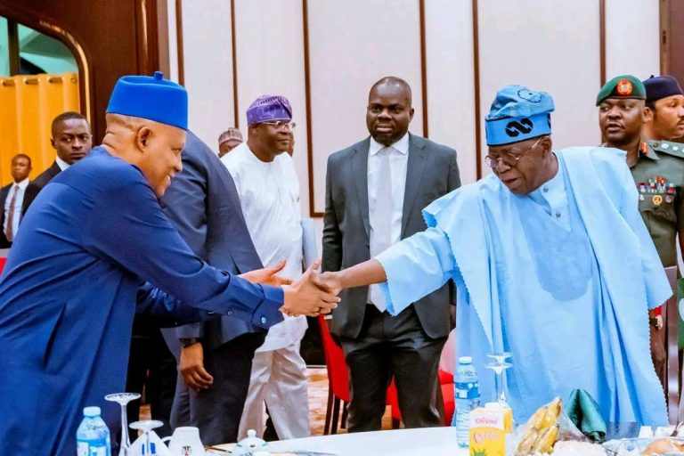 Tinubu: No Agent Of Instability Will Undermine Nigeria’s Peace, Unity