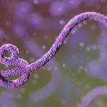 FG Confirms Ebola Case in FCT